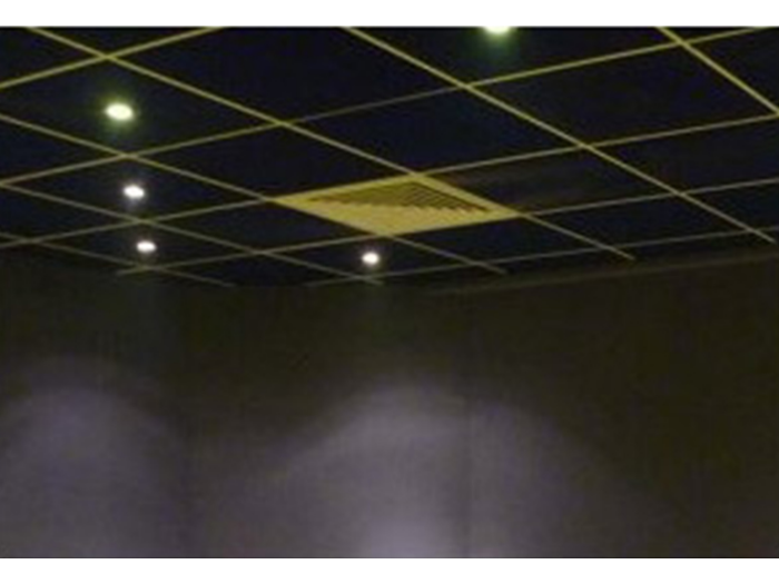 Acoustic Ceiling Tiles